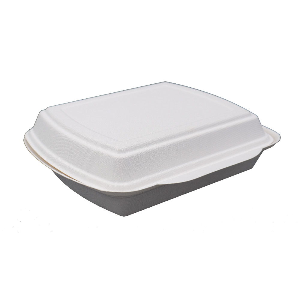 Menübox/Lunchbox Bagasse IP4 ungeteilt 24x20x7,5 cm a 100 St.