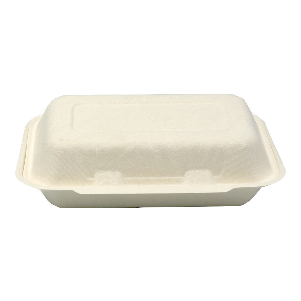 Menübox/Lunchbox Bagasse XL ungeteilt ca. 23x23x8 cm a 100 St.